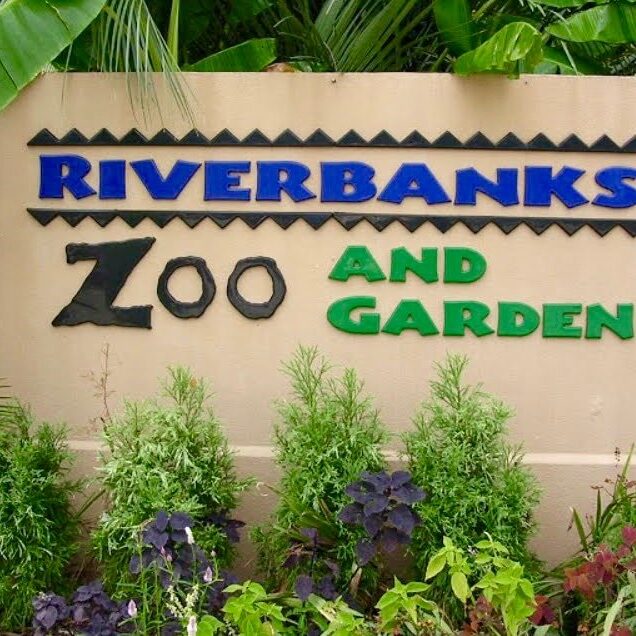 riverbanks-zoo-garden-columbia-sc